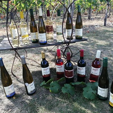 Ferienweingut Winnebeck Kowerich Ngoại thất bức ảnh