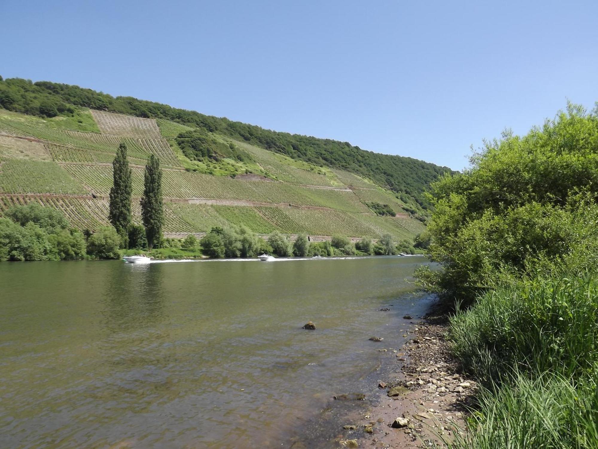 Ferienweingut Winnebeck Kowerich Phòng bức ảnh
