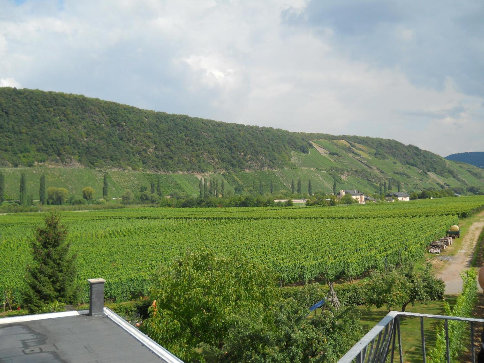 Ferienweingut Winnebeck Kowerich Phòng bức ảnh