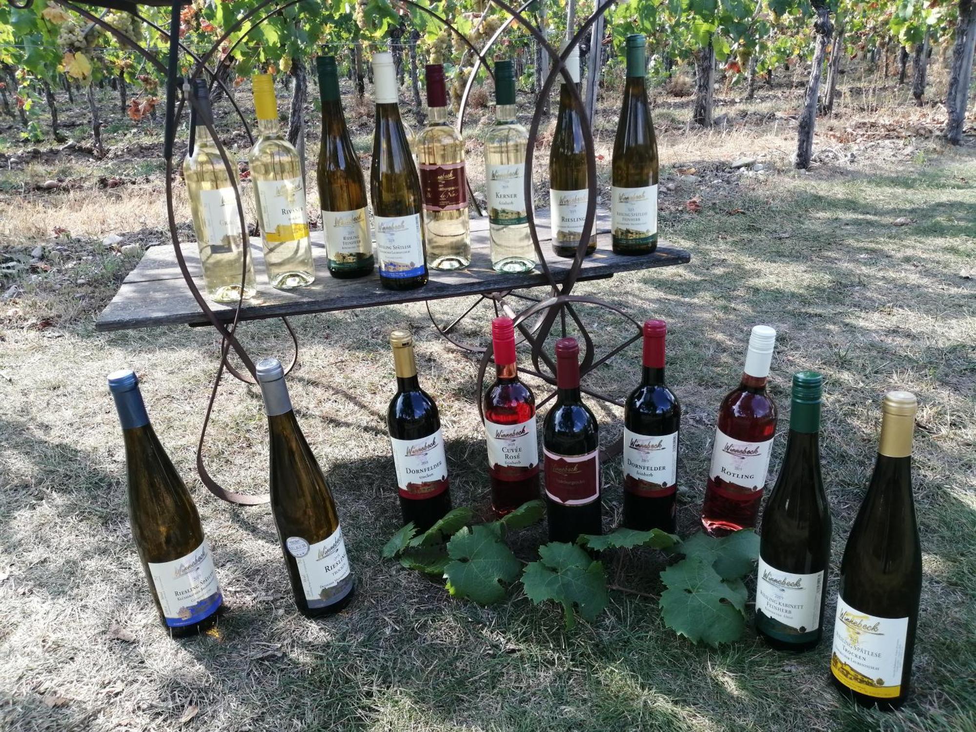 Ferienweingut Winnebeck Kowerich Ngoại thất bức ảnh
