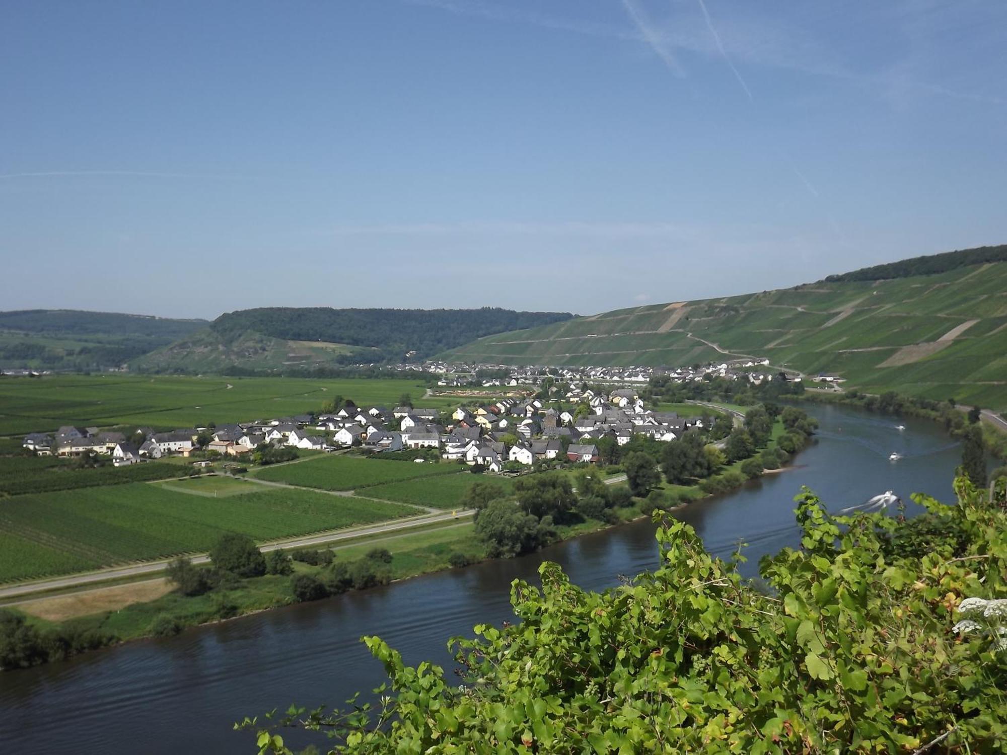 Ferienweingut Winnebeck Kowerich Phòng bức ảnh