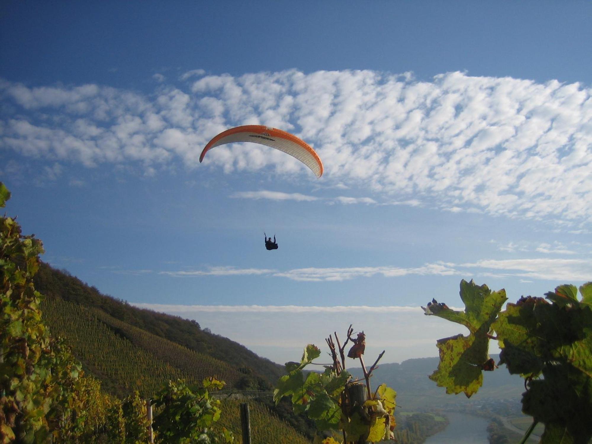 Ferienweingut Winnebeck Kowerich Ngoại thất bức ảnh