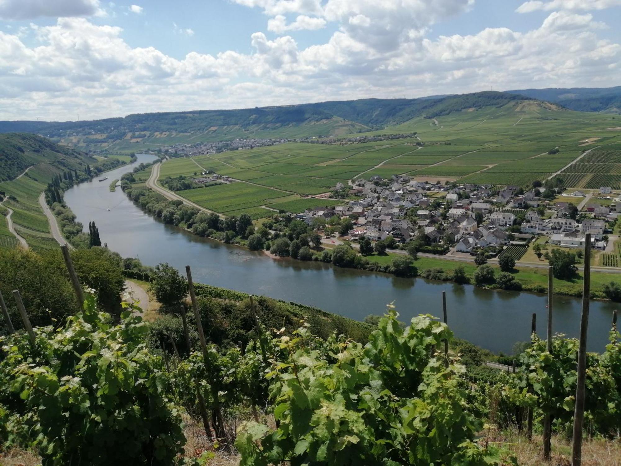 Ferienweingut Winnebeck Kowerich Ngoại thất bức ảnh