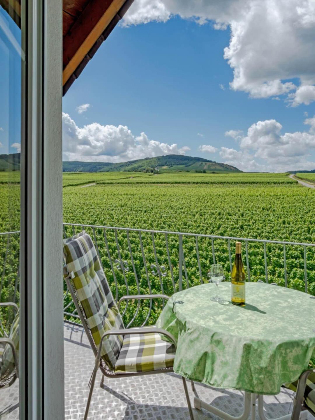 Ferienweingut Winnebeck Kowerich Ngoại thất bức ảnh